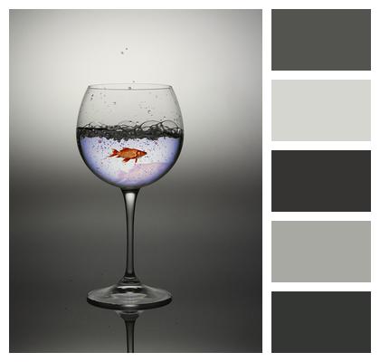 Water Glass Red Fish Image